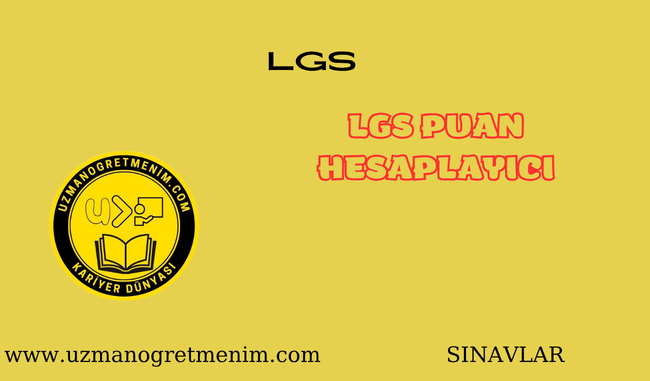 LGS Puan Hesaplama